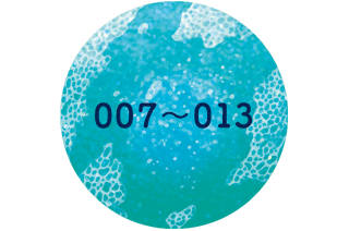 007~013