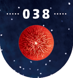 038